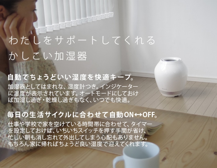 2021年モデル】 バルミューダ レイン 加湿器 Wi-Fi 非対応 BALMUDA