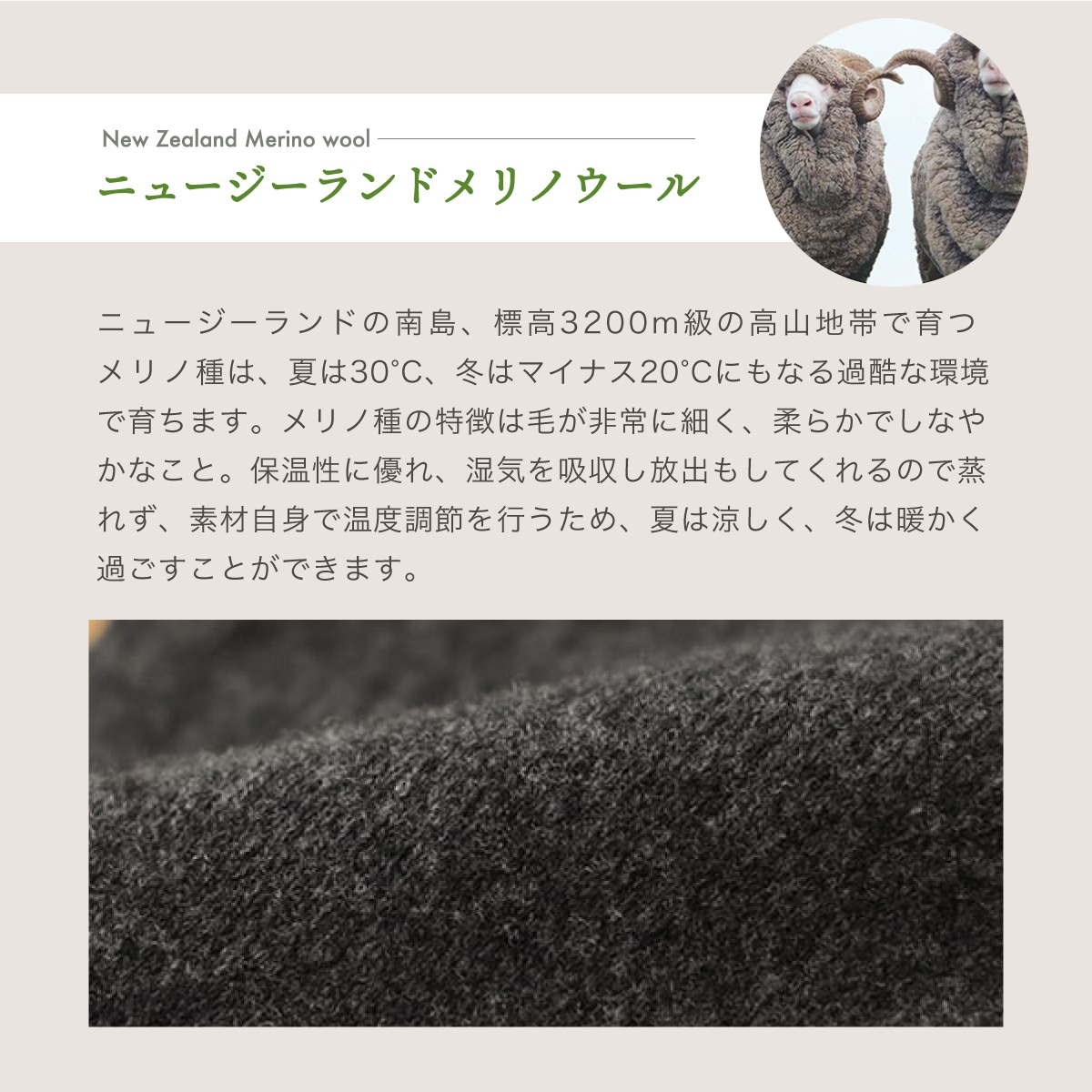 クィーンウールシルク 無縫製 腹巻スパッツ | すべての商品 | | 肌に