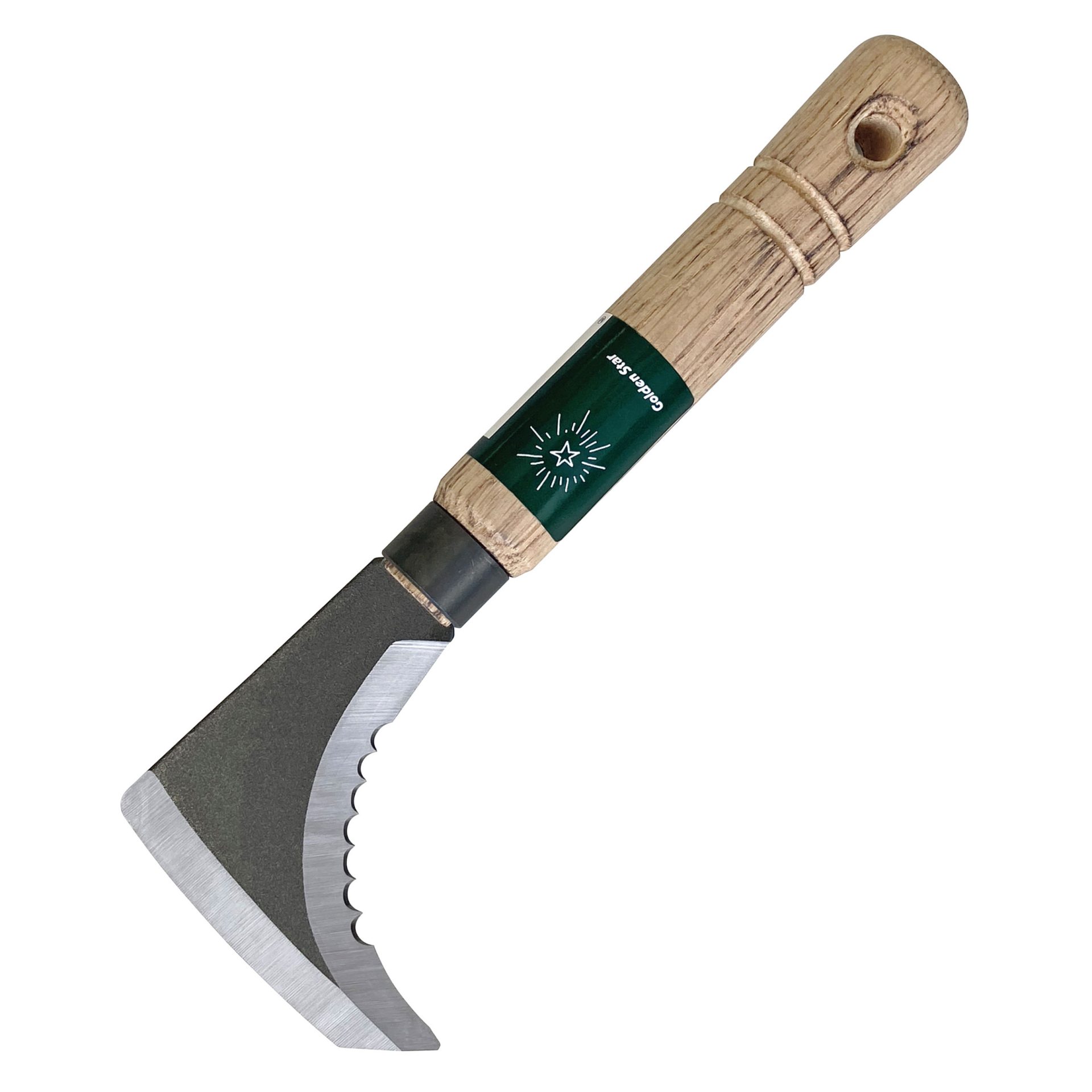 1419 - キンボシ株式会社