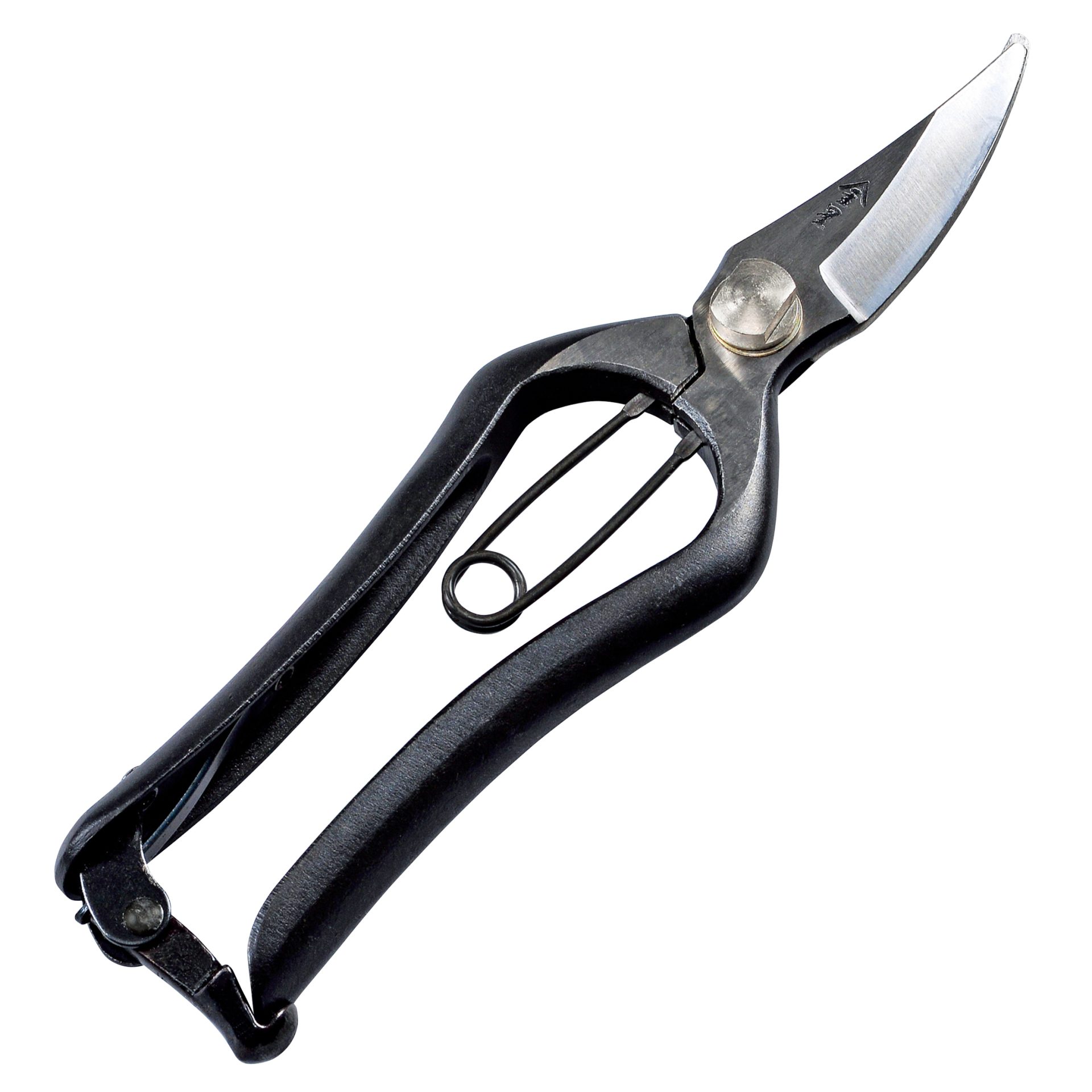 2503 - キンボシ株式会社