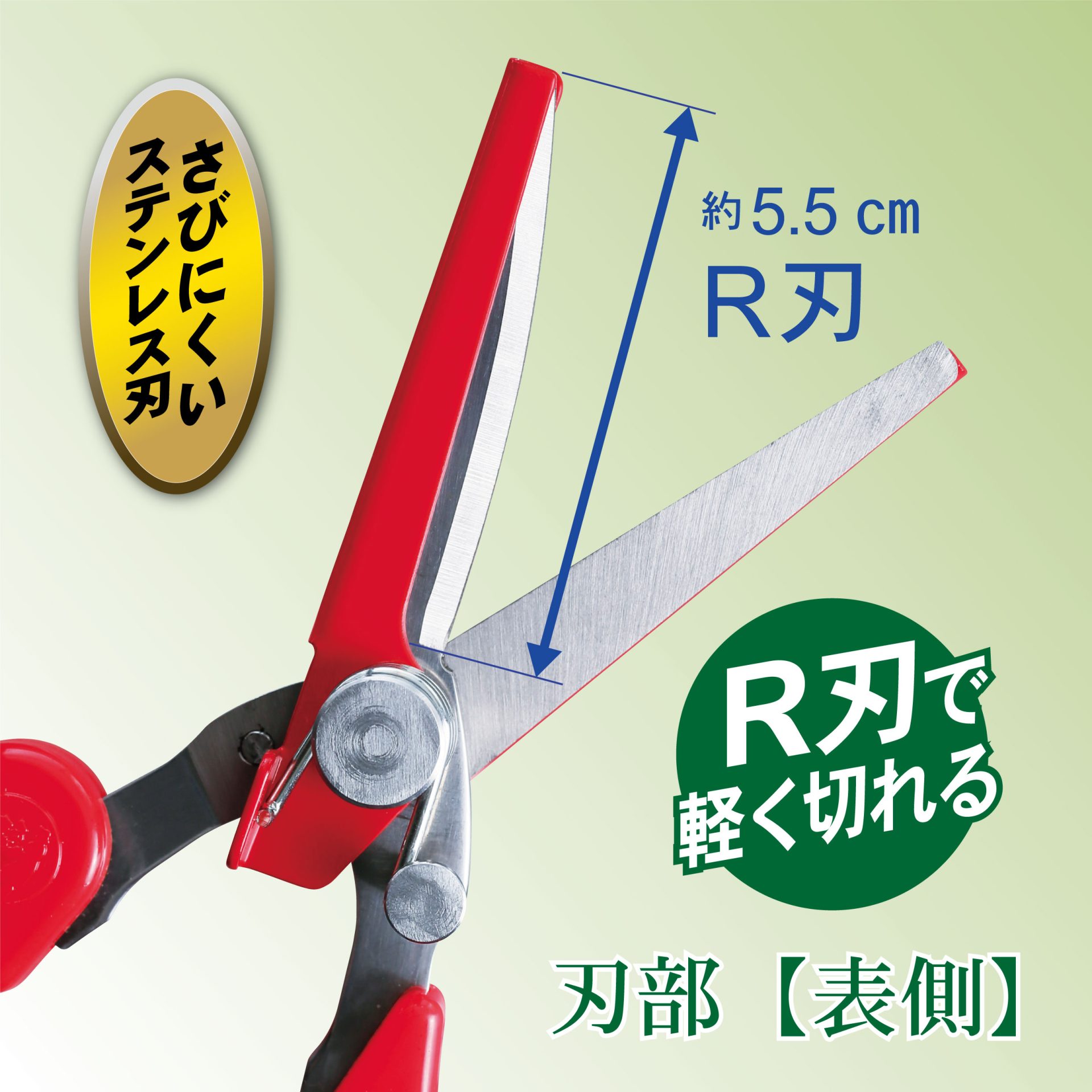 2319 - キンボシ株式会社