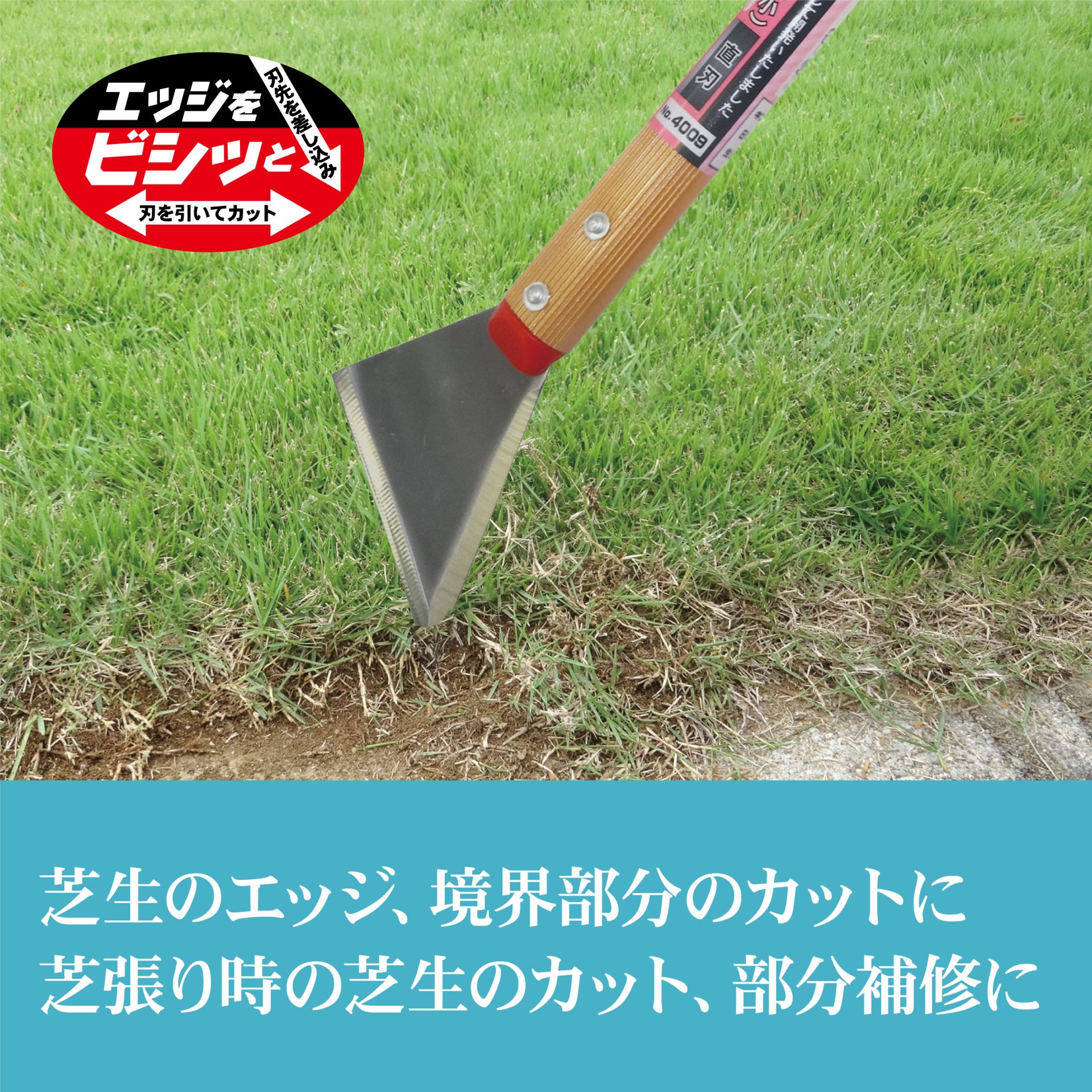 4009 - キンボシ株式会社