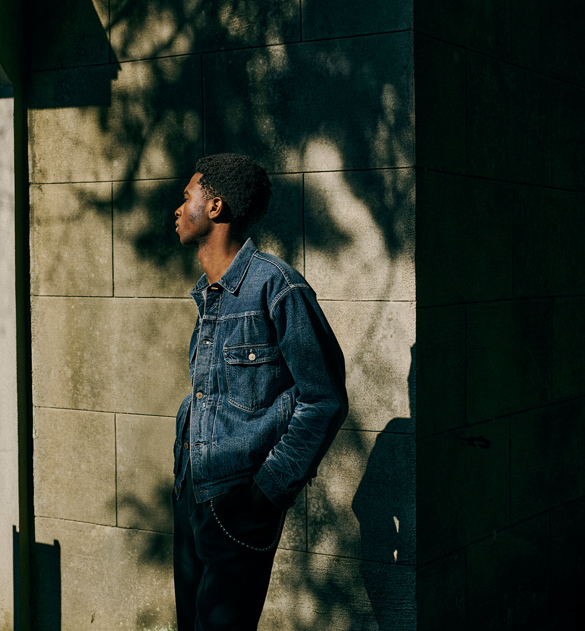 gold (Toyo Enterprise Company Ltd.)