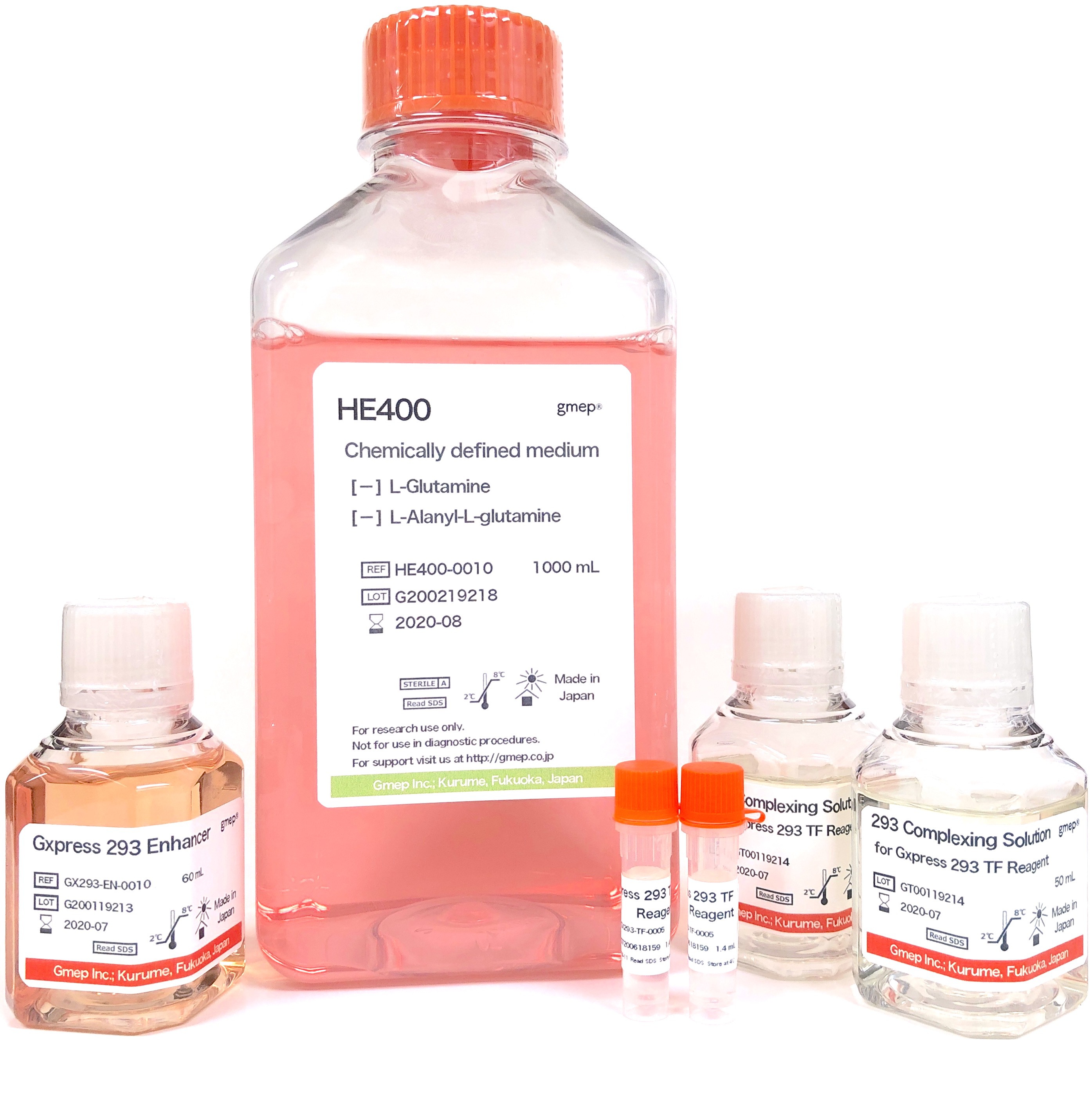 Gxpress 293 Transfection & Medium Kit II｜293細胞｜トランスフ