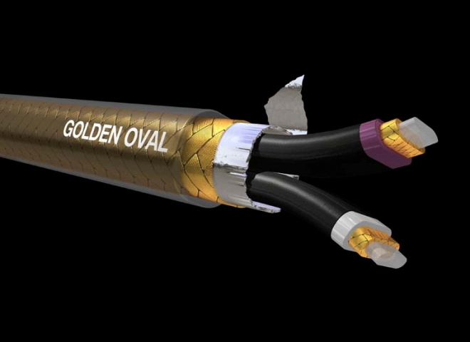 こだわりの逸品】1m○○万円のシールド?! ANALYSIS PLUS『Golden Oval