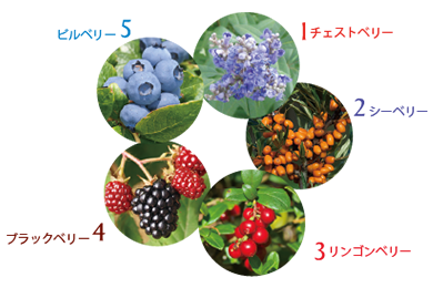 AURAGE フルセット｜ヘルスケア俱楽部