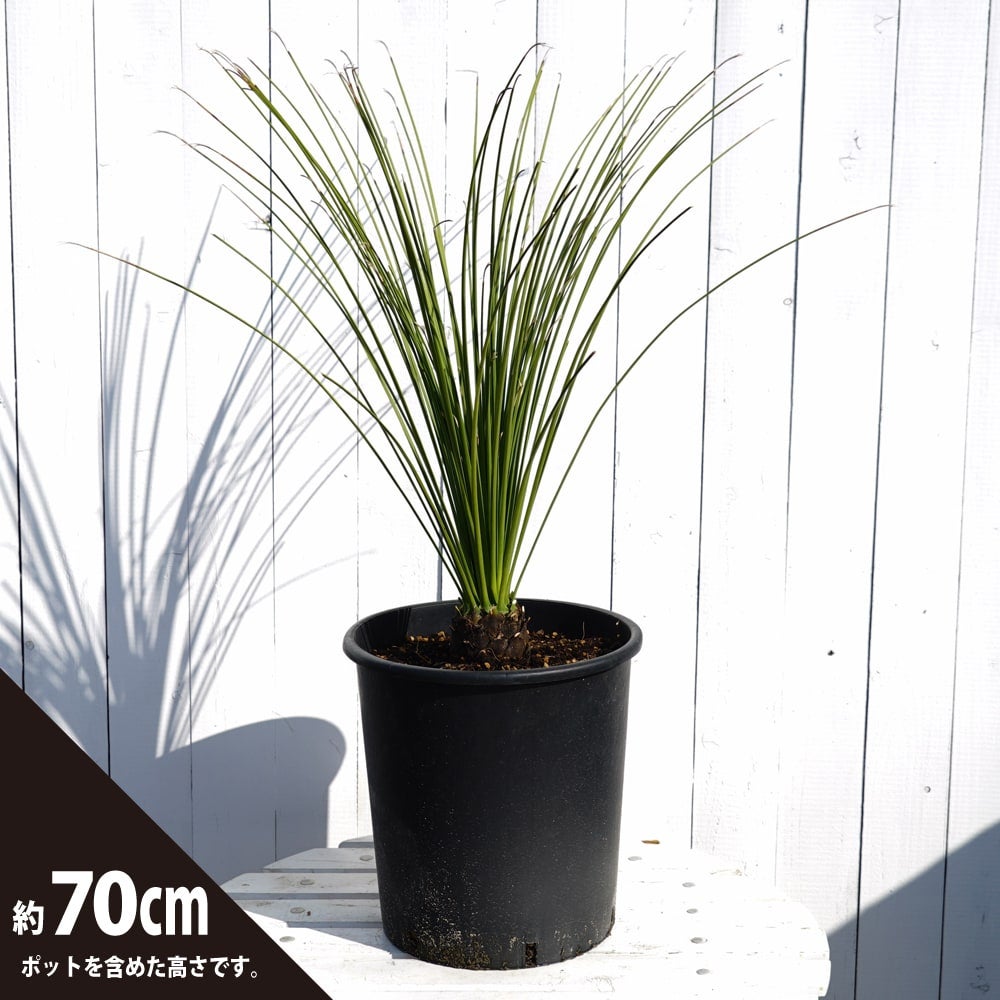 000000057382-03.jpg?size=l&w=