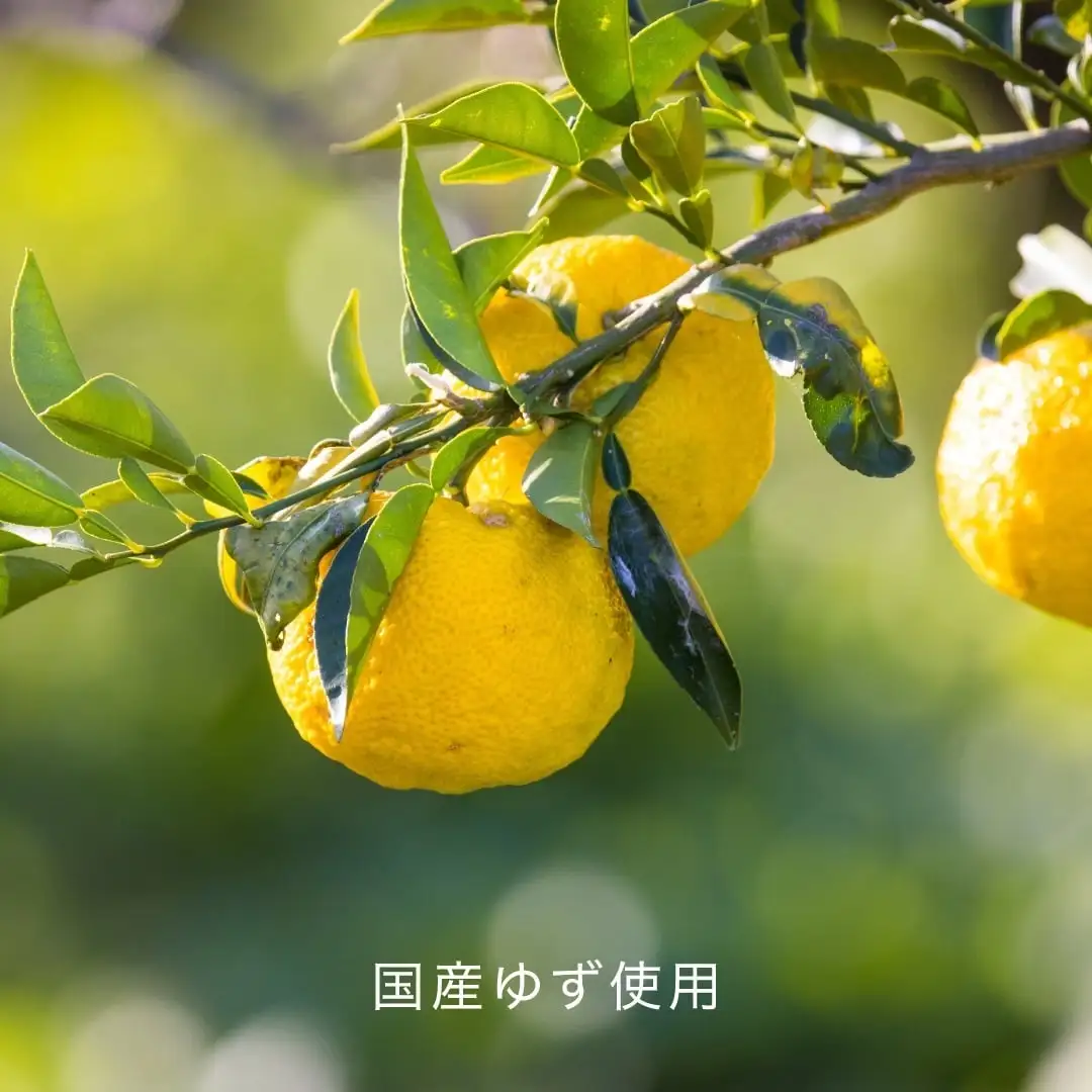 はちみつユズドリンク（ギフトBOX入り）｜HACCI公式オンラインストア