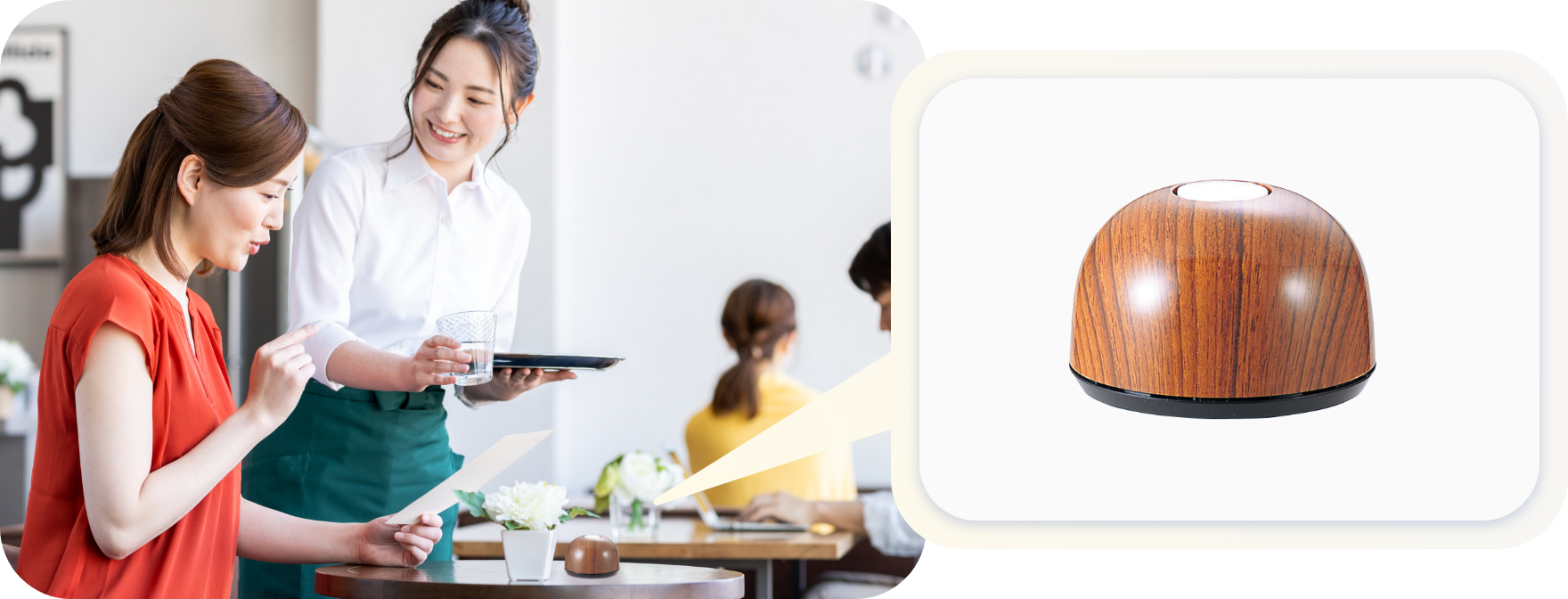 ベルスター｜株式会社ハアーモニー