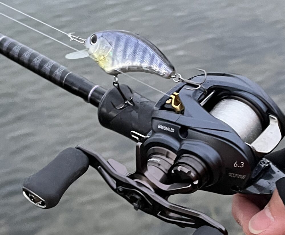 23スティーズAⅡ TW インプレ】剛性感と浅溝MAG-Z BOOSTによる飛距離と