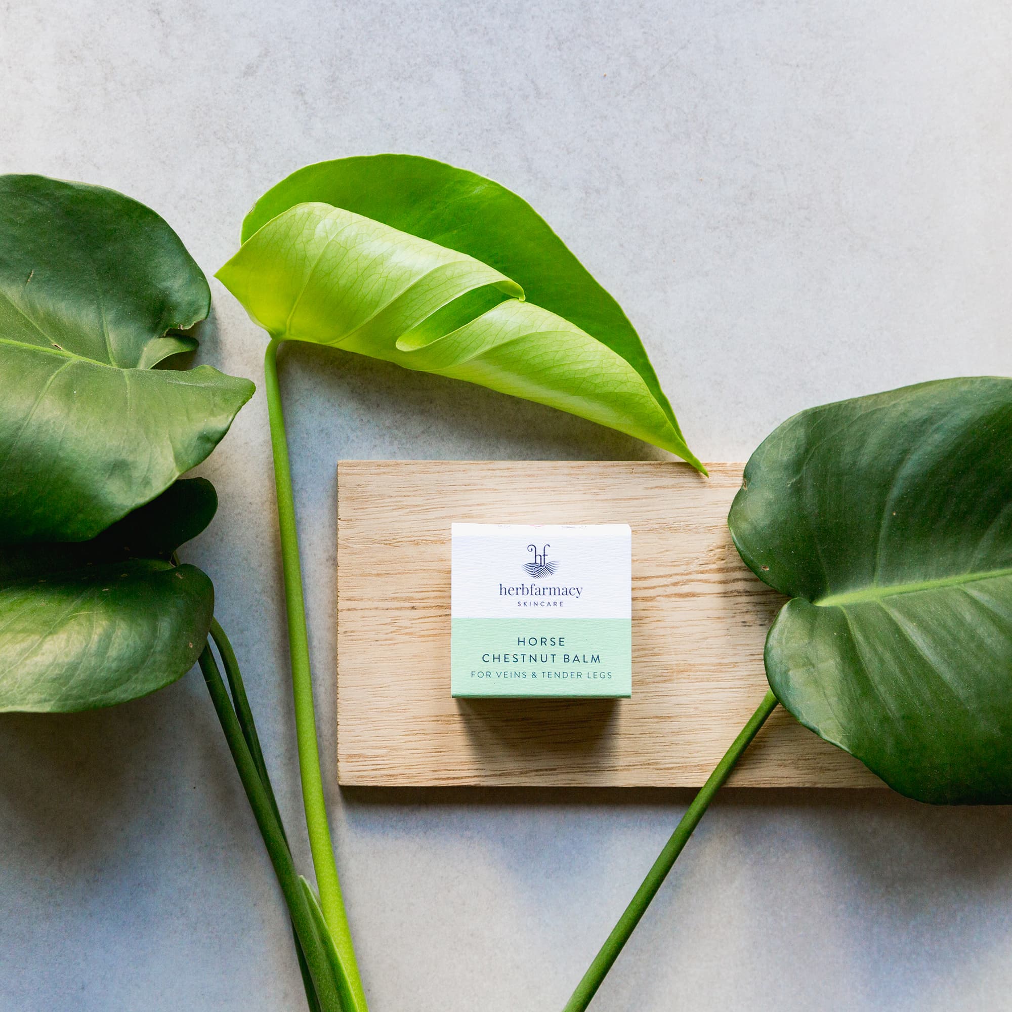 HORSE CHESTNUT BALM スージング バーム｜ハーブファーマシー