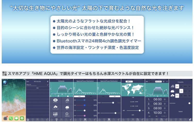 お取寄商品】ボルクスジャパン グラッシー Wing 2 60 マリン