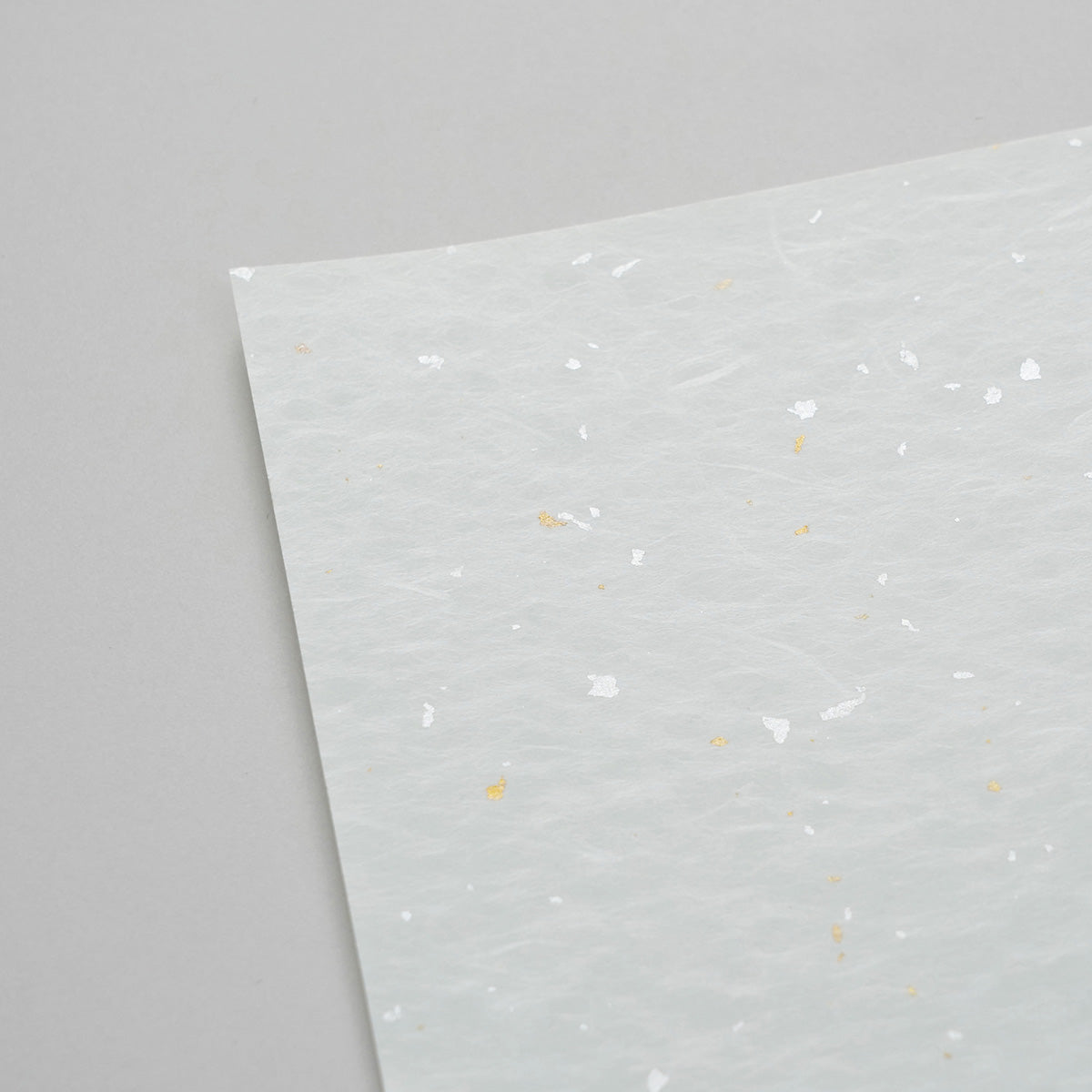 DSC06545_2447e11b-9038-4794-