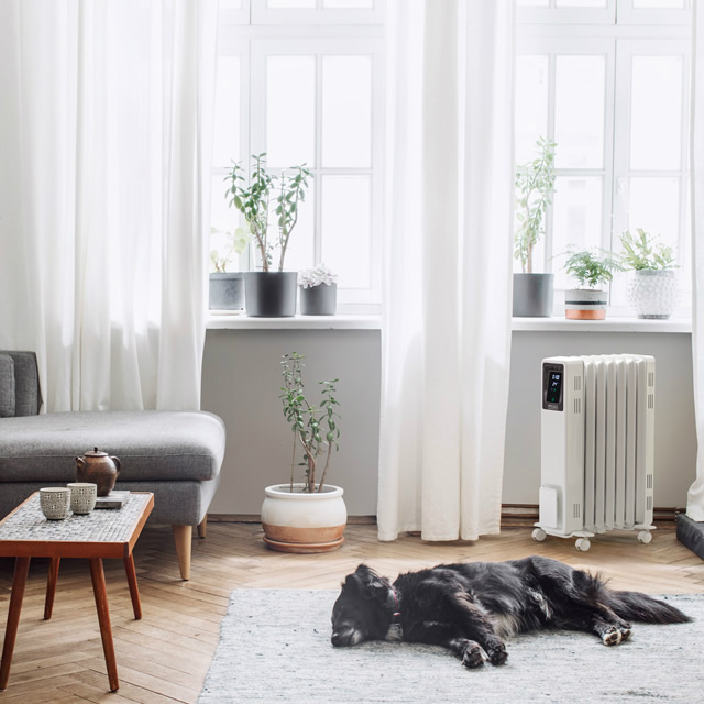 Dimplex（ディンプレックス） オイルフリーヒーター B04 ECR12E