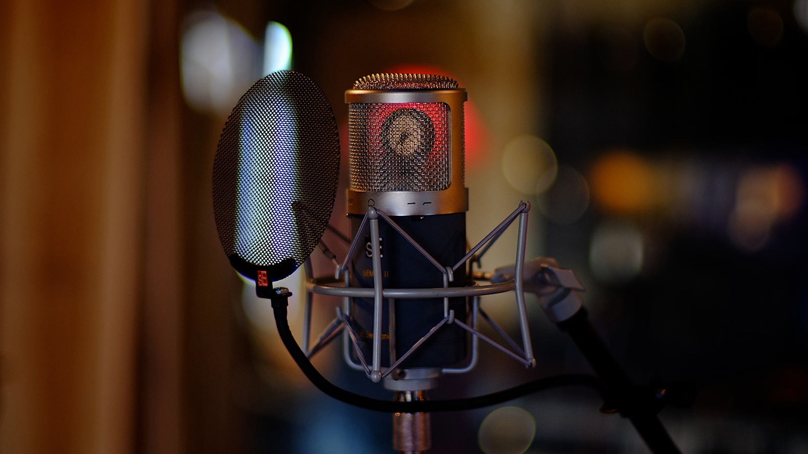 Gemini II - sE Electronics | Hookup, Inc.