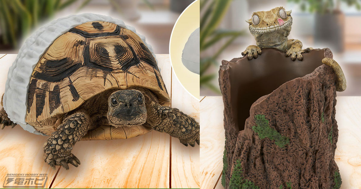 一番くじ 爬虫類＆両生類」第2弾の新たなラインナップ公開！ヘルマン