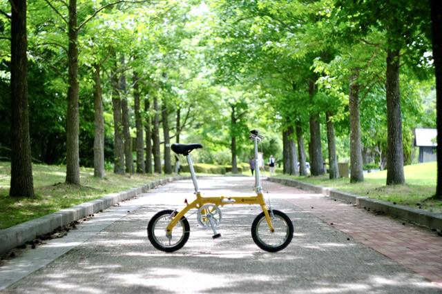 Renault LIGHT8 ビワイチチャレンジレビュー】力ある者、スポーク折る