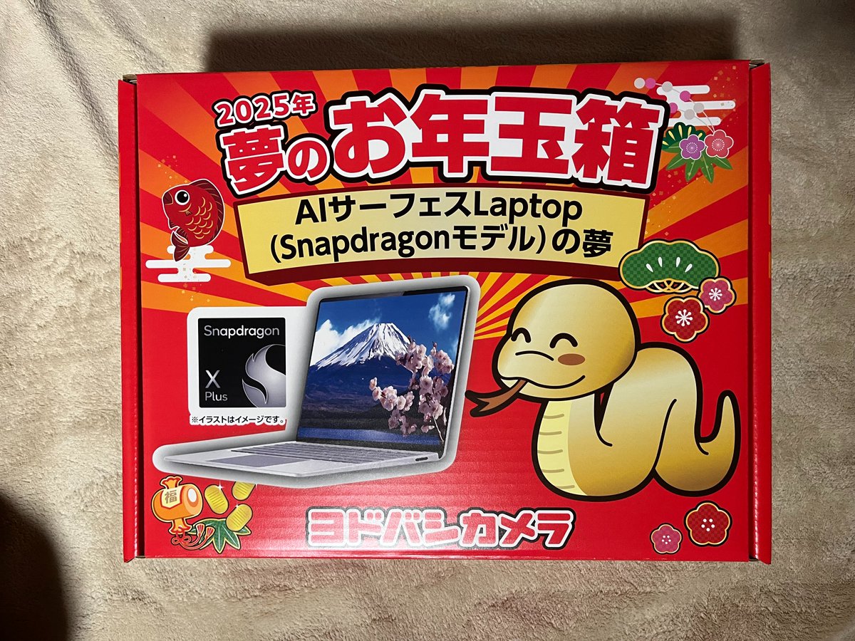 ヨドバシ『サーフェスの夢』福袋[2026]の中身をネタバレします！