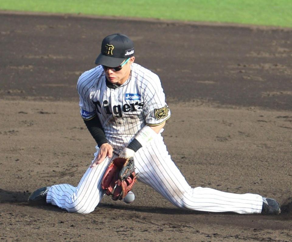 阪神・木浪がまさか1試合3失策「自分のせい。頑張るだけ」 甲子園