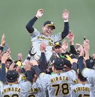 阪神日本一の要因は「岡田監督の采配」 Yahoo！みんなの意見で他