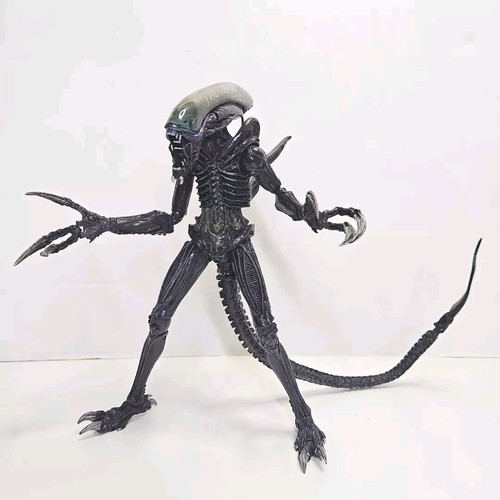 $_12.JPG?set_id=880000500F