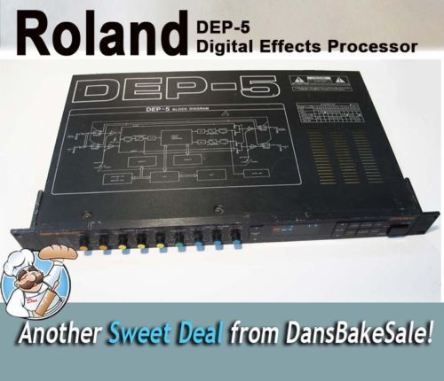 Roland SDE-2500 MIDI Digital Delay Effect Signal Processor | eBay