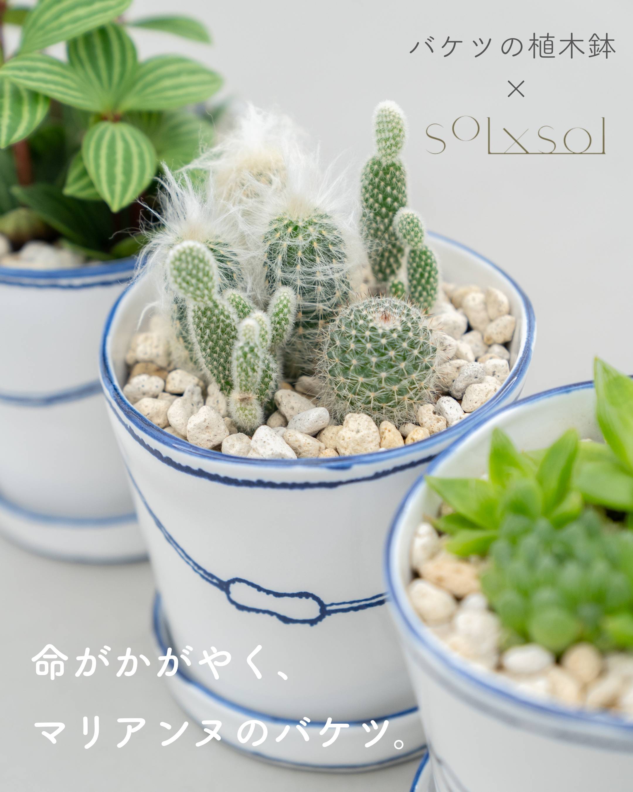 命がかがやく、マリアンヌのバケツ。