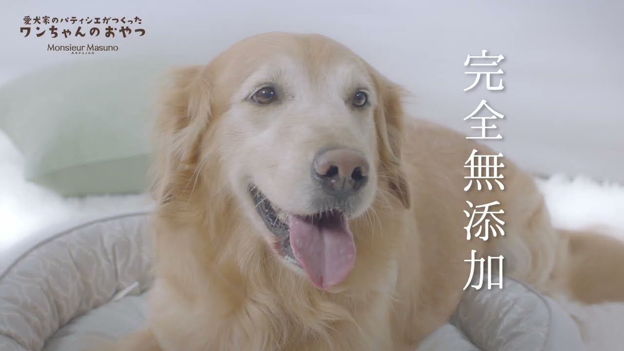 ワンちゃんのおやつ 豚｜ムッシュ マスノ アルパジョン