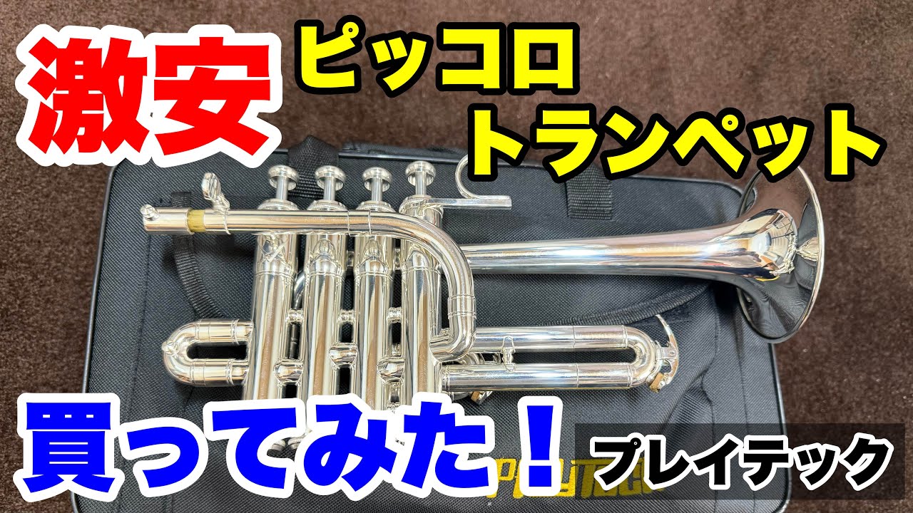 前編【プレイテック】激安ピッコロトランペット買ってみた！ - YouTube