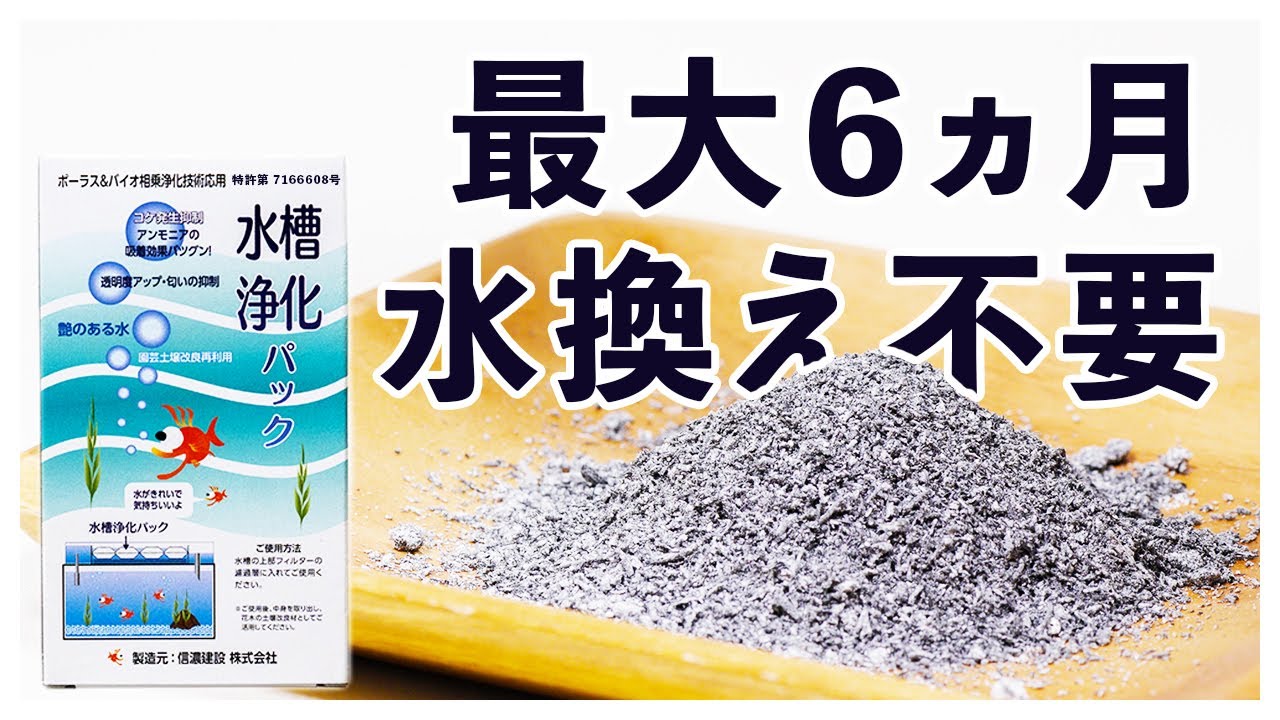 A new common sense for aquariums! Introducing the 