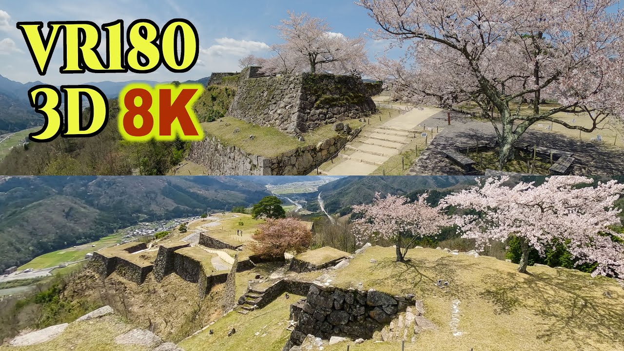 8K 3D VR180 ] 天空の城「竹田城」と桜（兵庫県朝来市） Takeda castle