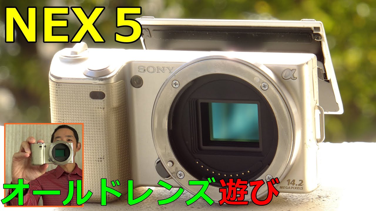 中古】7560円 SONY α NEX5 動作検証・作例 ジャンクレンズ専用 2年半