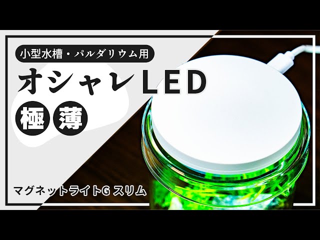 ADA DOOA 新商品】マグネットライトGスリム スペック・使い方を紹介
