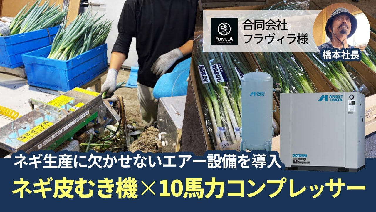 送料無料】【お困り時サポート】CFP75CF-8.5D|アネスト岩田・D有・無