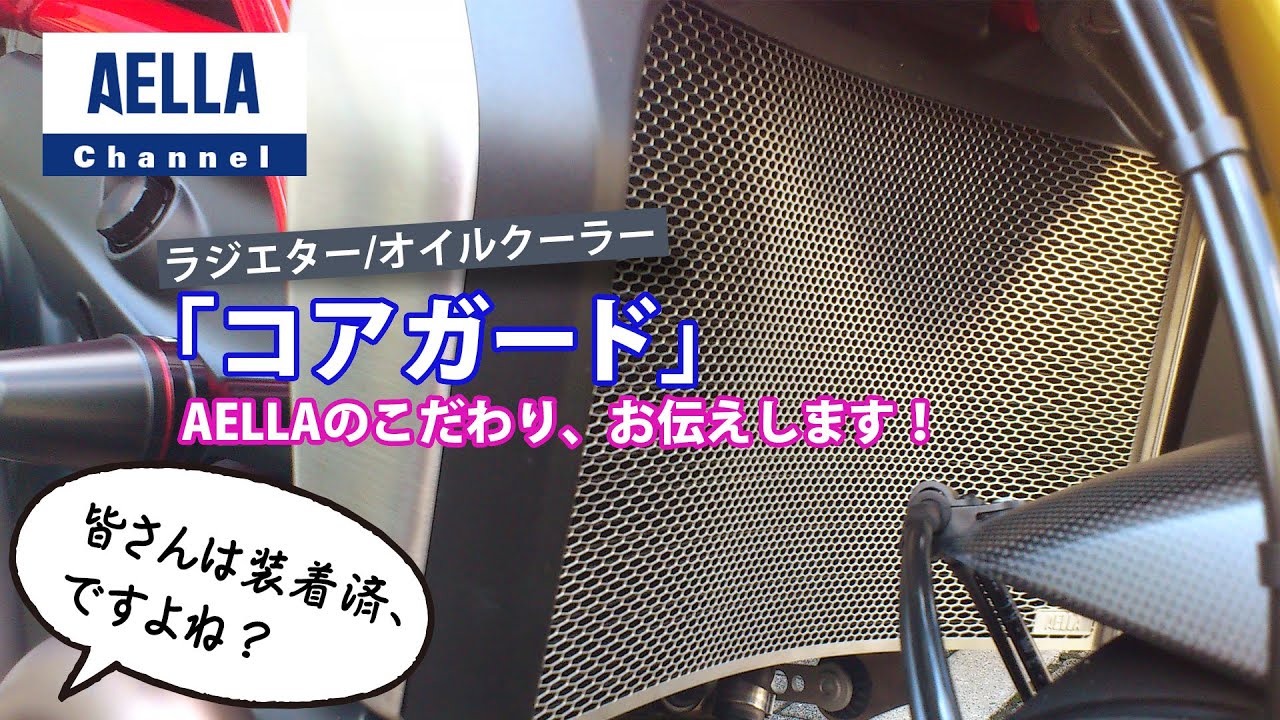 ラジエター＆オイルクーラープロテクターセット(S1000シリーズ '19