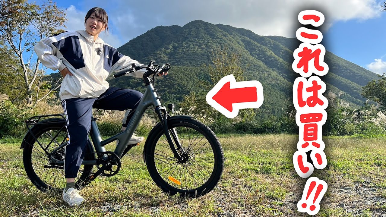 初心者向け購入ガイド