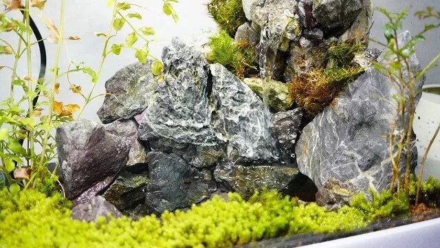 完結編】初心者でもDIYで滝のあるアクアテラリウム 〜植栽編