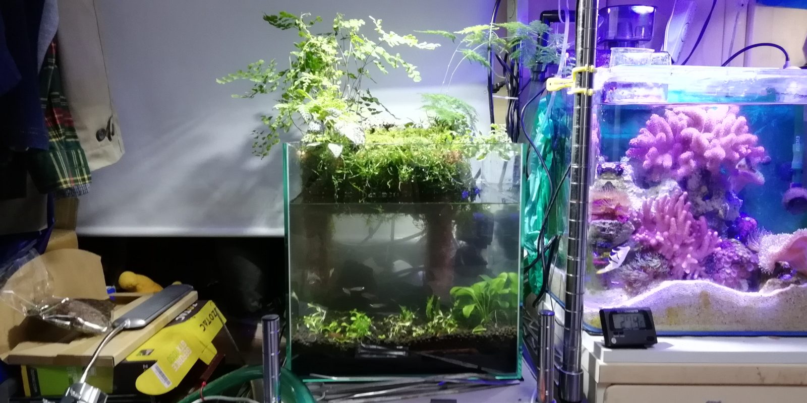 凛1.11 アクアテラリウム 凛1.11様専用 アクアテラリウム