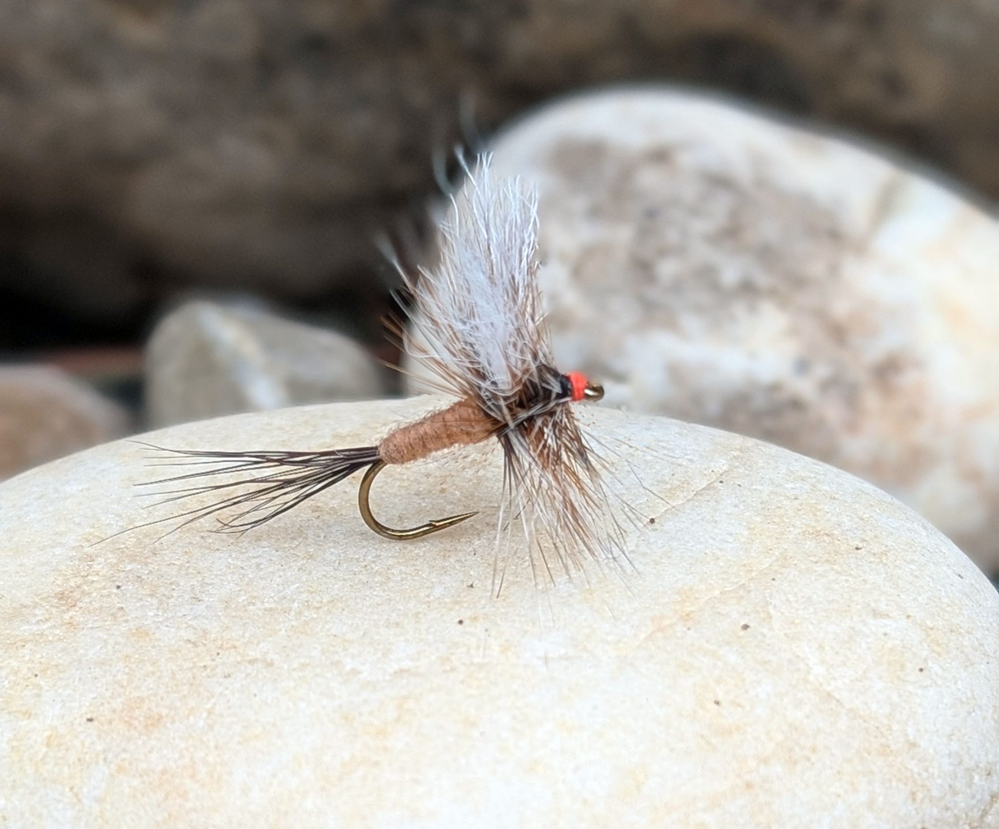 Fly of the Week: Ausable Wulff - Adirondack Almanack