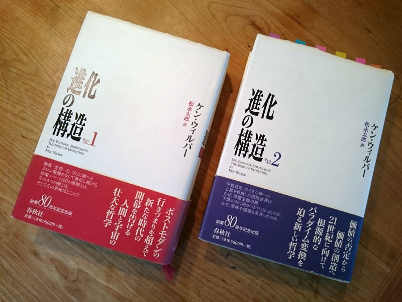 進化の構造」（ケン・ウィルバー著）、強力に頭がわいています！（笑）