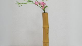 お花屋さんで見つけたお花 - 佐藤 池坊いけばな華道教室