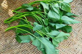 空心菜の通販｜その他葉物野菜｜食べチョク｜産地直送(産直)お取り寄せ