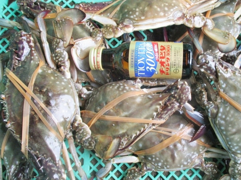 冷凍ガザミ オス中サイズ 2kg（約9杯）日本三景松島産☆ワタリガニ