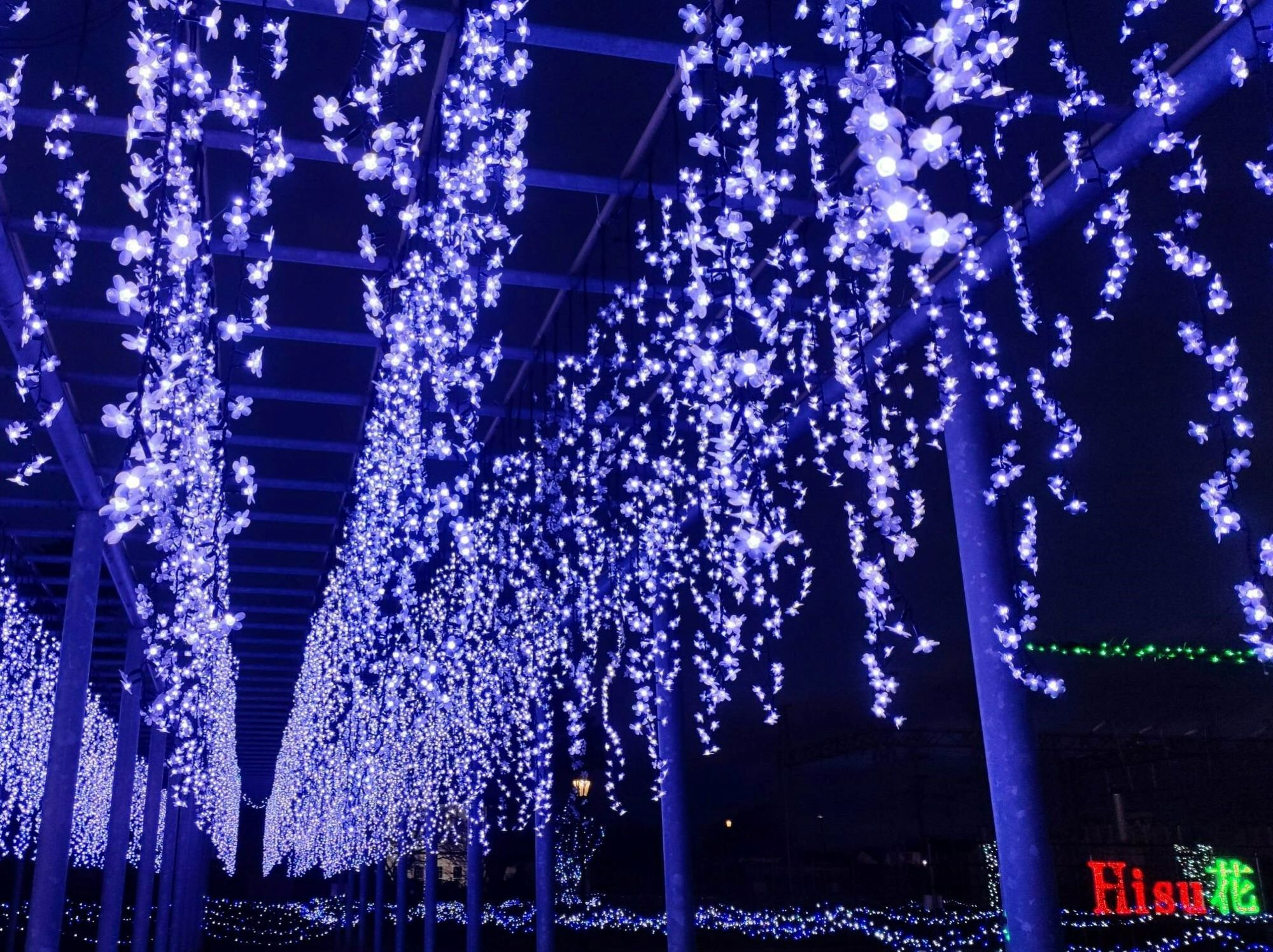 藤島イルミネーション2025 (鶴岡市)｜イルミネーションガイド2025-2026