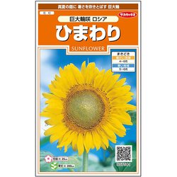 ヨドバシ.com - サカタのタネ ひまわり 巨大輪咲ロシア 1袋 通販【全品