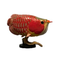 ヨドバシ.com - 動物の惑星 アニマルプラネット アジアアロワナ（赤