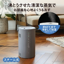 ヨドバシ.com - 象印 ZOJIRUSHI スチーム式加湿器 木造8畳/プレハブ13