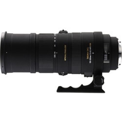 ヨドバシ.com - シグマ SIGMA APO 150-500mm F5-6.3 DG OS HSM [150