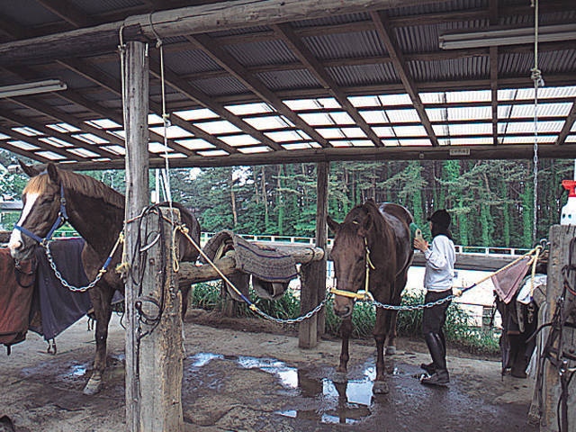 ララミー牧場 - （山梨県）の詳細情報 ｜ ことりっぷ