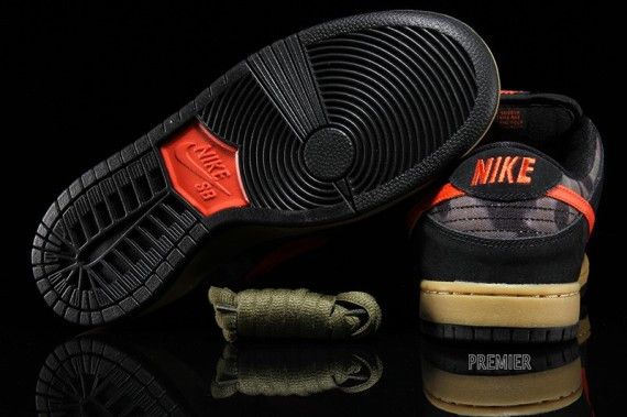Buy Nike SB Dunk Low Premium 'Brian Anderson' - 313170 083 | GOAT
